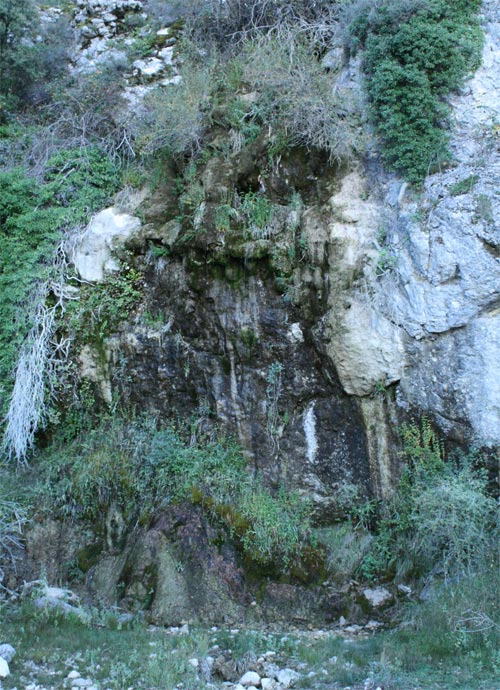 Cascada en rocas calcáreas con concreciones por la disolución de la roca