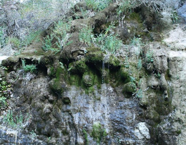 Detalle de concrecciones calcáreas y tobas de una cascada en Sierra Mágina