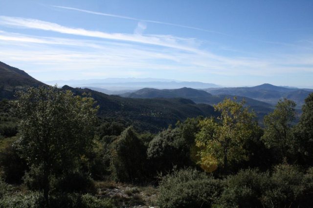 Encinar maduro en Mata Begid, Parque Natural de Sierra Mágina, Jaén